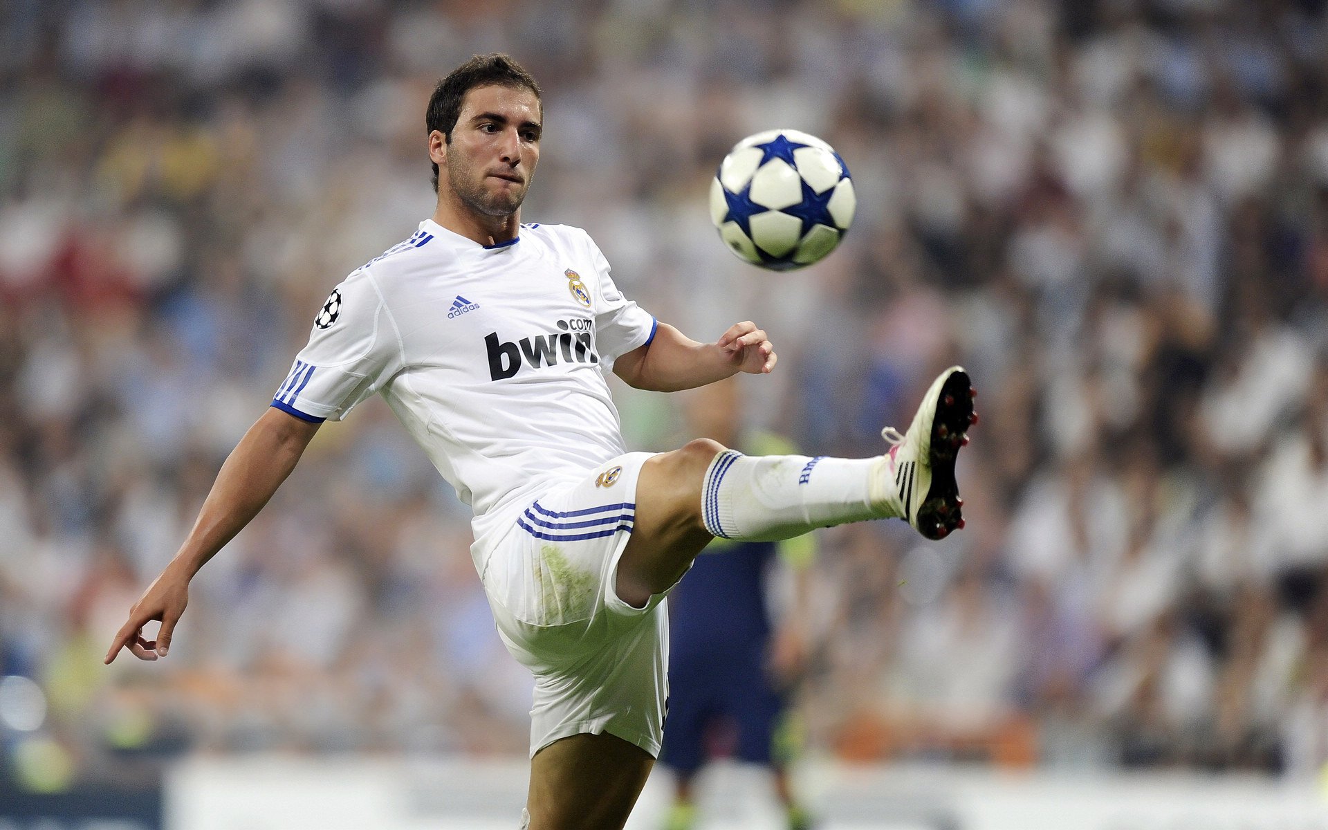 科隆队长赞扬球队表现，呼吁团结一致，科隆有什么球队